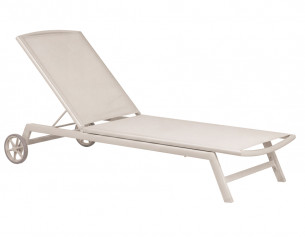 Benjamin Solvogn - Gråhvid